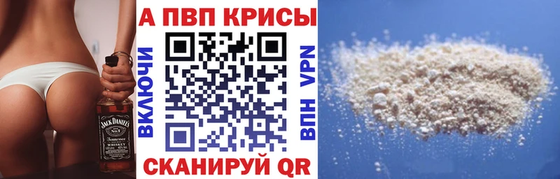 где найти   Суздаль  сайты даркнета какой сайт  A-PVP крисы CK  KRAKEN ссылки 