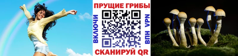 гидра ONION  Суздаль  Галлюциногенные грибы прущие грибы 